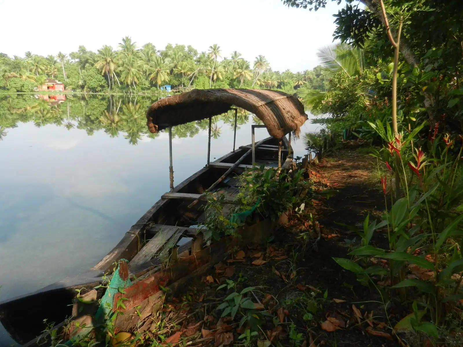 Rivière bordée de palmiers, embarcation traditionnelle du Kerala